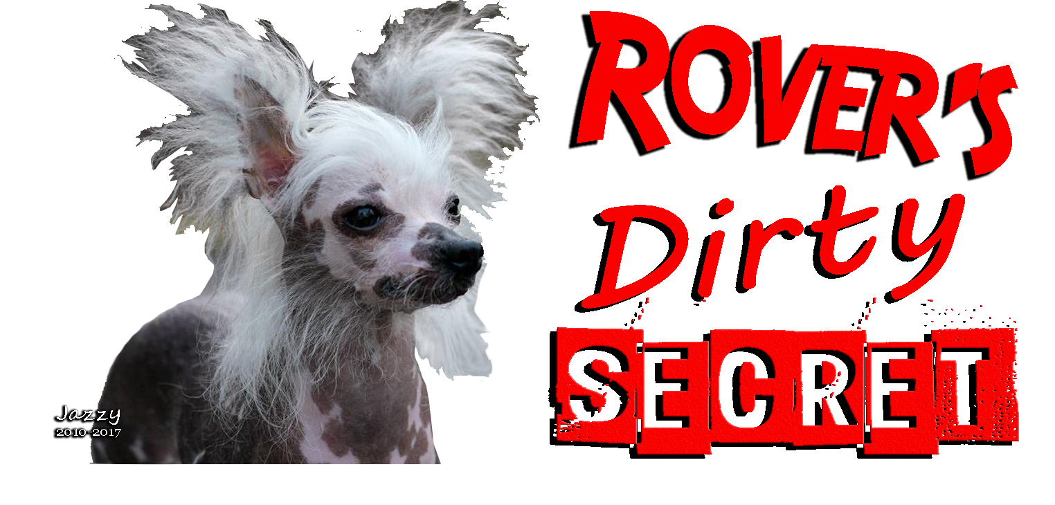 Rover.com Rover Review Pet Care Dog Sitter 9