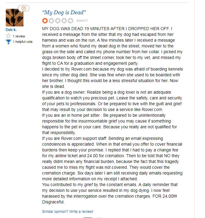 Rover.com Review Dog Killed Pet Care 1